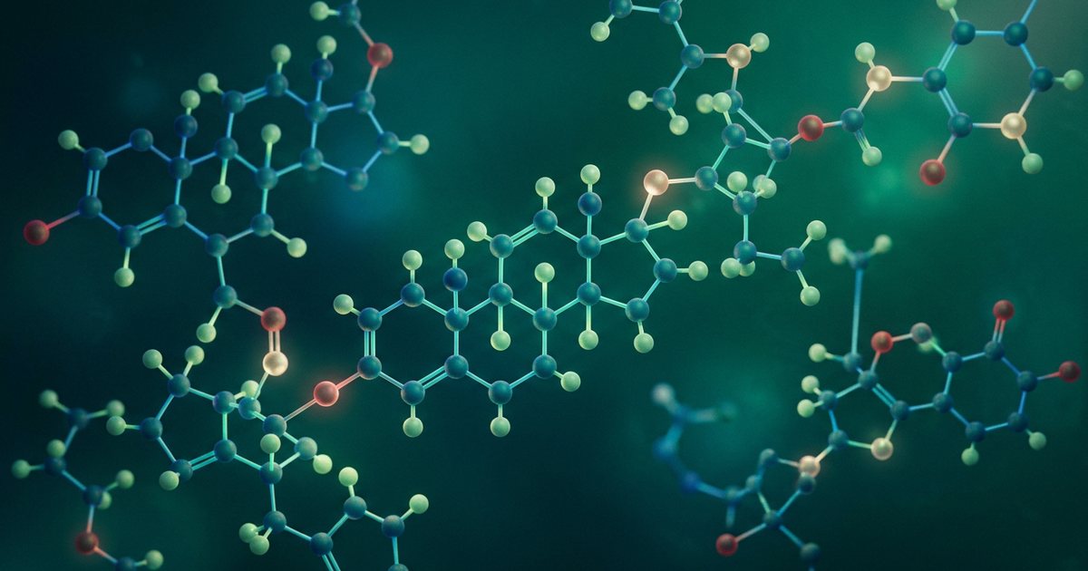 Understanding DHEA’s Role in Adrenal Gland Function and Midlife Well-being - DHEA Production and Its Life Cycle