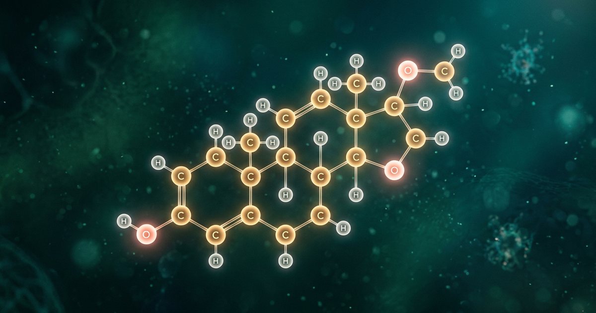 DHEA and Adrenal Fatigue in Perimenopause: Exploring the Connection - Understanding 'Adrenal Fatigue'