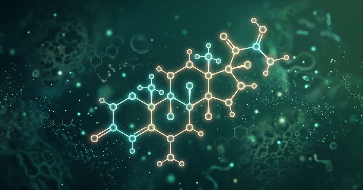 DHEA and Cognitive Function in Perimenopause: Exploring Memory and Focus - DHEA and Memory: What the Research Suggests