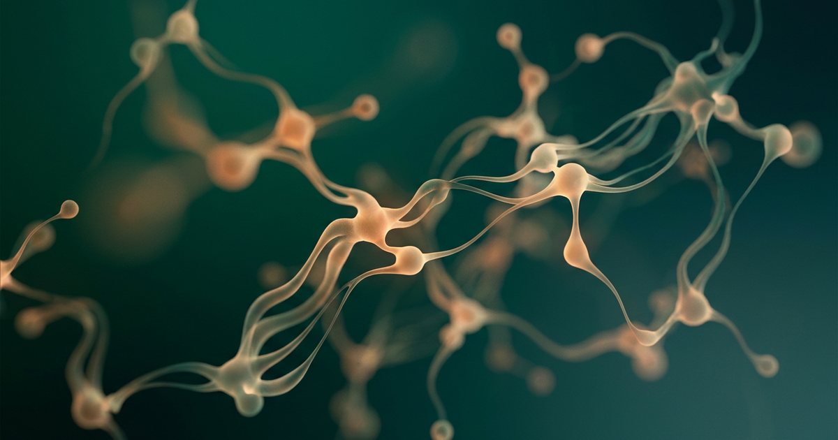 Navigating Potential DHEA Side Effects in Midlife Women - Important Safety Considerations and Contraindications